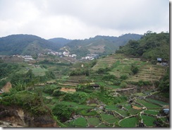 DSCN0141