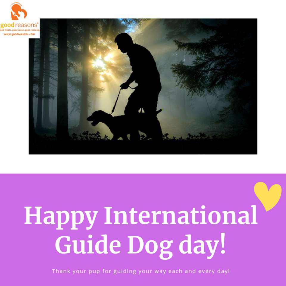 International Guide Dog Day Wishes Beautiful Image