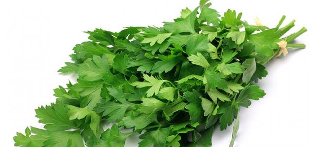 Parsley Benefits