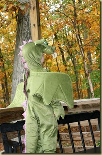IMG_7261 IMG_7261