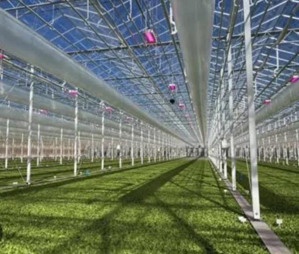 Controlled-Environment Agriculture (CEA)