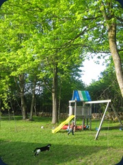 IMG_0242