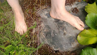 barefoot_rock_grass