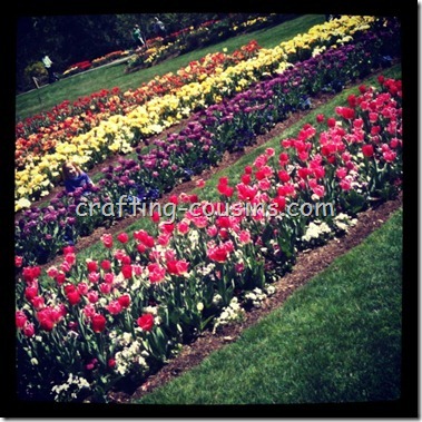 photo2