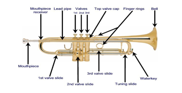 How many valves does a Trumpet have?