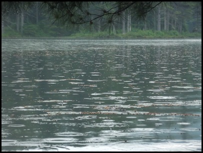 Lowell Lake #2 011 (19)