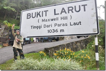 maxwell1