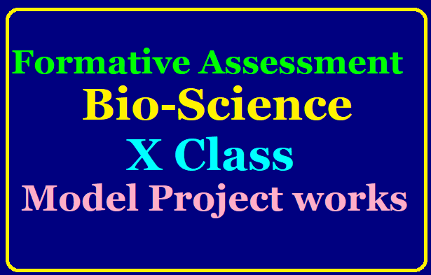 Biology Model Project Works 10th Class for FA 1 Download Bio-Science Model Project works | Class X / Class 10th Biology Model Project Works Download | Formative Assessment 1 Biology 10th class Biological Science Model Projects download/2019/08/10th-class-biology-model-project-works-formative-assessment-download.html