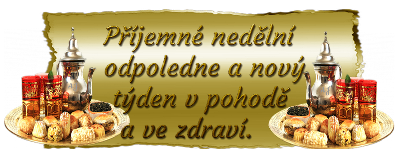 Nepojmenovan%C3%BD%203DS.png