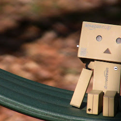 Foto Danbo @ digaleri.com