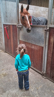 in the horse stable