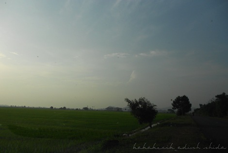 DSCN4449