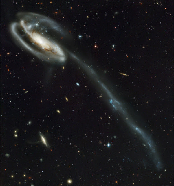 galaksi-berudu-ugc-10214-korban-distorsi-tabrak-lari-kosmik-informasi-astronomi