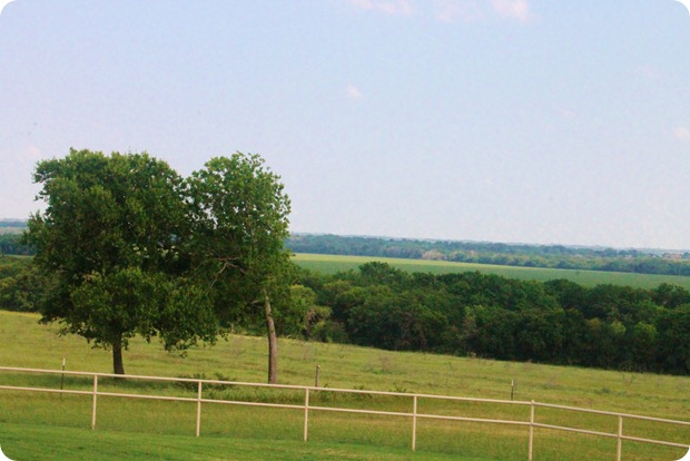 mid May 061