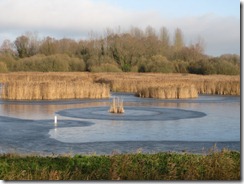 Fowlmere