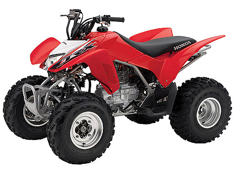 2013 Honda TRX250X atv pictures. 480x360 pixels