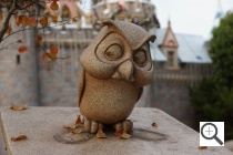 Sony NEX-7 Sample Image