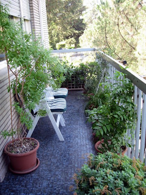 The balcony garden