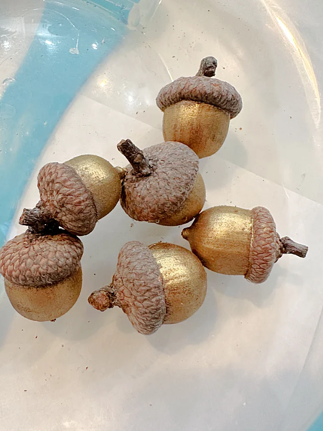 gold Rub and Buff acorns