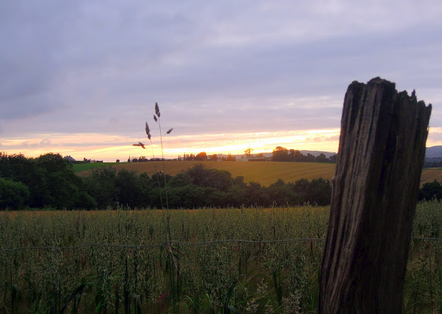 wwoof france