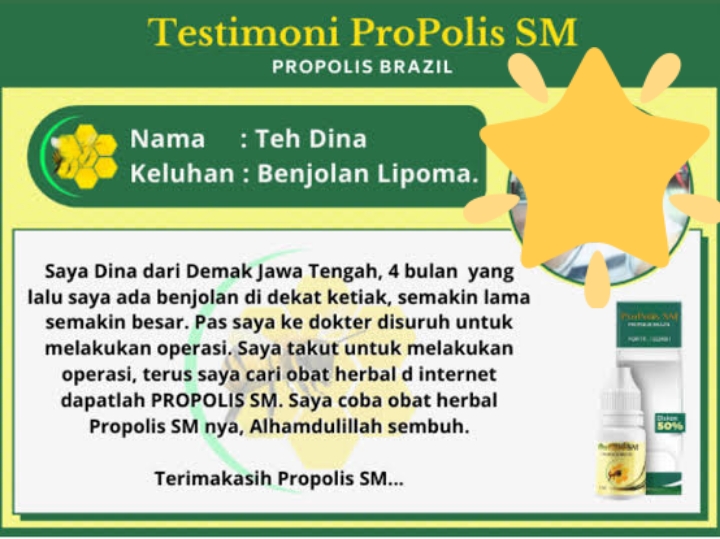 Testimoni Propolis SM Brazil