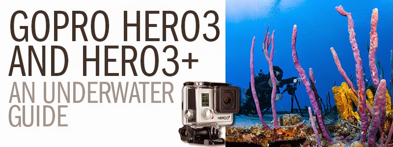 http://scubadiverlife.com/2014/03/11/gopro-shooting-guide-for-underwater-videography/