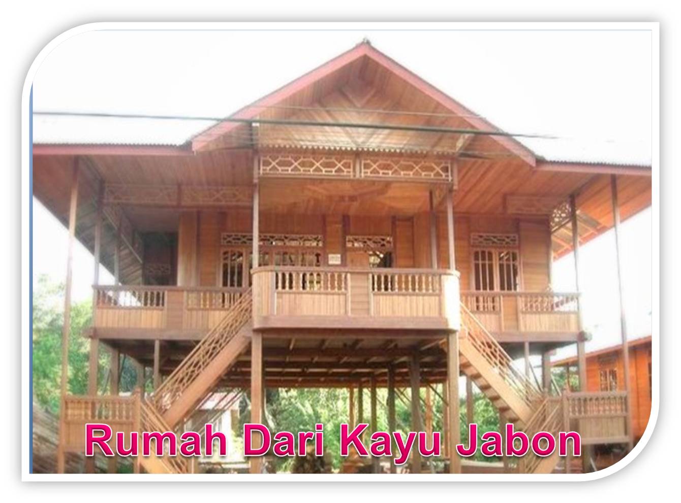 Rumah dari Kayu Jabon Jabon Bengkulu
