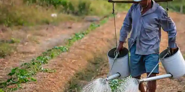 Agricultural Credit | 'അന്നം ഊട്ടുന്ന കരങ്ങൾക്ക്' സന്തോഷവാർത്ത! 7% പലിശയ്ക്ക് എളുപ്പത്തിൽ വായ്പ; 22-25 ലക്ഷം കോടി രൂപയുടെ ഈ സുപ്രധാന പ്രഖ്യാപനം ബജറ്റിൽ?