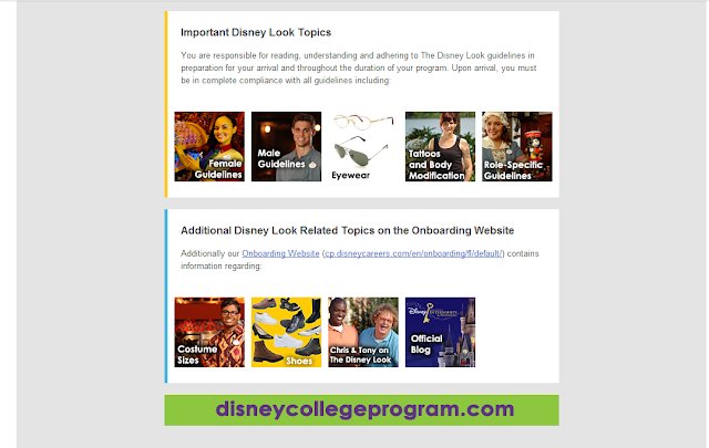 The Disney Look email