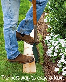 The best way to edge a lawn #Landscaping