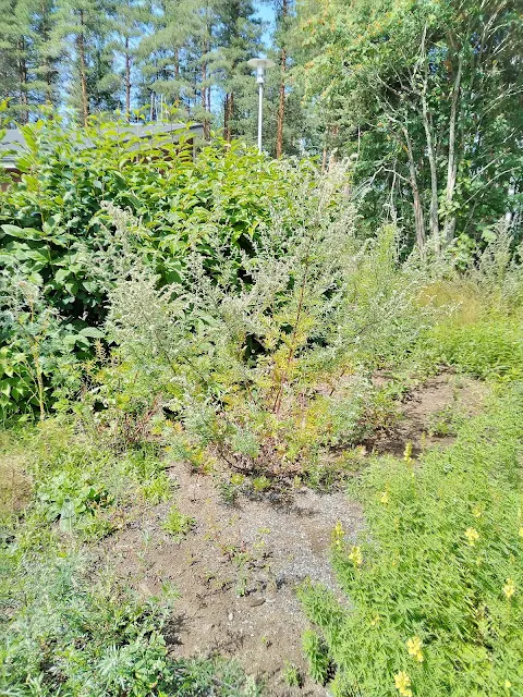 #Pujot #rehottavat #Tampereella Miksi ei työllistämistoiminei poisteta #KuntavaaliehdokasTampere #LehtoSeppo kuva2