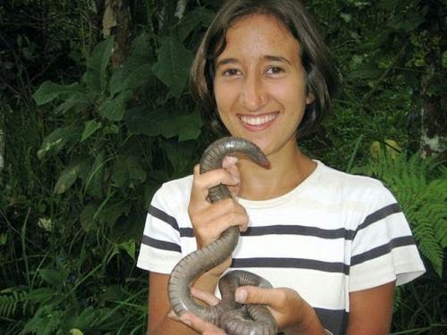 The Giant Worm Found Inland of Bali Indonesia