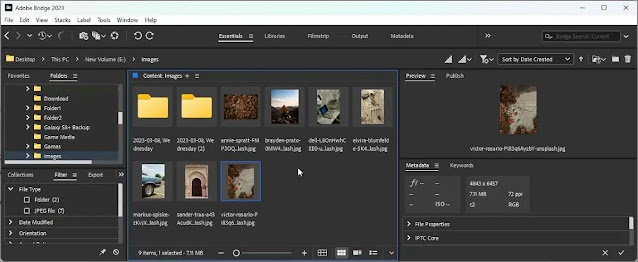 Best photo organizer apps for Windows PC users