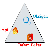 Tipe kebaaran hutan yang terjadi di Indonesia memberikan dampak yang berkepanjangan akibat dari api yang melahap vegetasi. Tipe ini dapat dibedakan menjadi tiga bagian yakni tipe kebakaran bawah, permukaan, dan tajuk. Kebakaran awalnya terjadi oleh adanya reaksi dari segitiga api. Tipe kebakaran bawah merupakan situasi dimana api membakar material organik seperti gambut dan perakaran tumbuhan di bawah permukaan tanah. Tipe kebakaran permukaan merupakan situasi dimana api membakar material organik seperti serasah dan tumbuhan rendah. Tipe kebakaran tajuk merupakan situasi dimana api membakar tajuk pohon ke tajuk pohon lainnya yang memiliki jarak dekat akibat menjalarnya api dari bawah karena adanya bahan bakar vertikal.