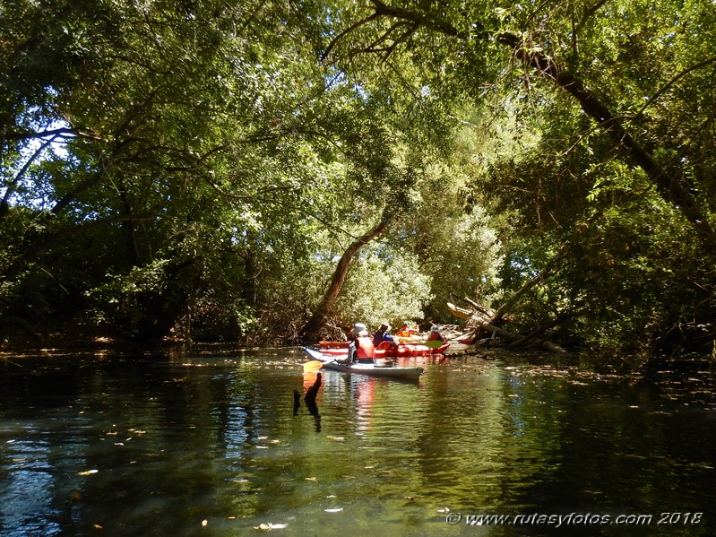 Kayak río Palmones