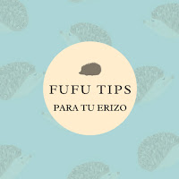 Fufutips para tu erizo de tierra