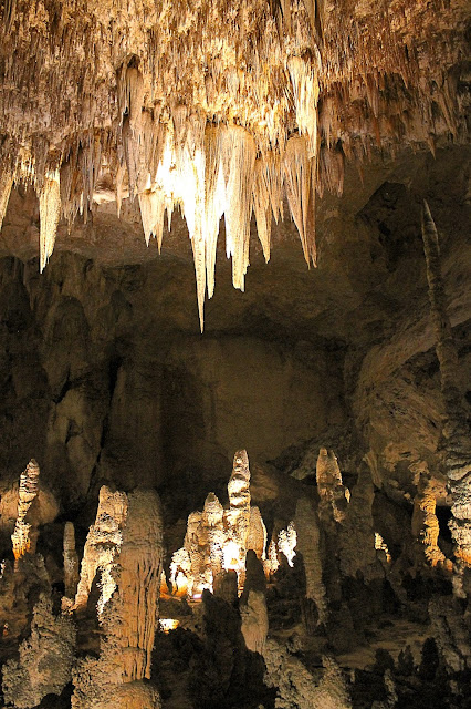 Carlsbad Caverns National Park New Mexico caves geology reef spelunking explore travel trip copyright rocdoctravel.com