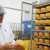 CIBO NEL MONDO (FRANCIA): Rodez, l'incredibile storia del formaggio francese che fà "impazzire" i pugliesi