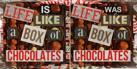 Flame24soul Blogspot Com Life Is Like A Box Of Chocolates Or Life