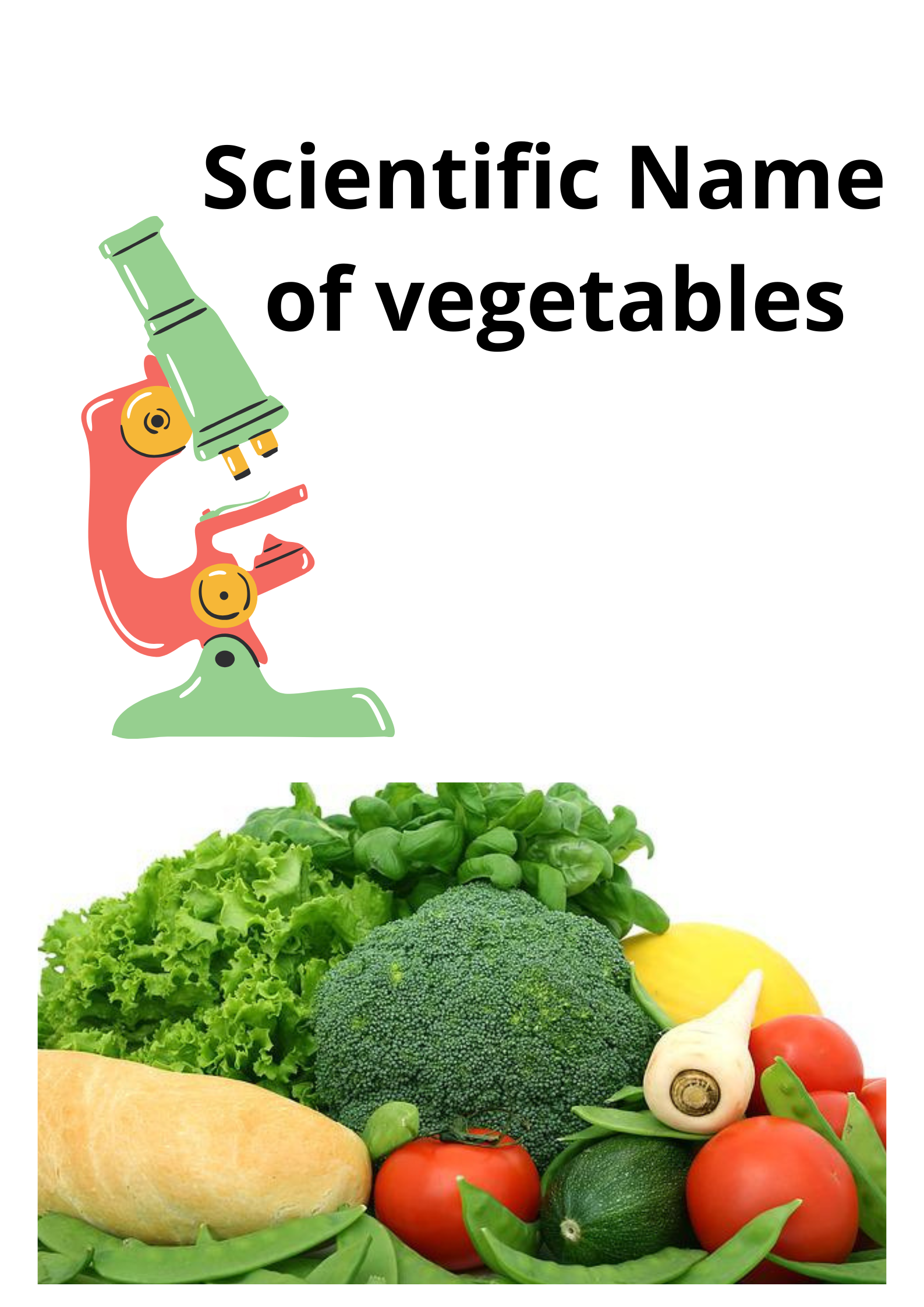 Scientific Name of Vegetables : सब्जियों के वैज्ञानिक नाम