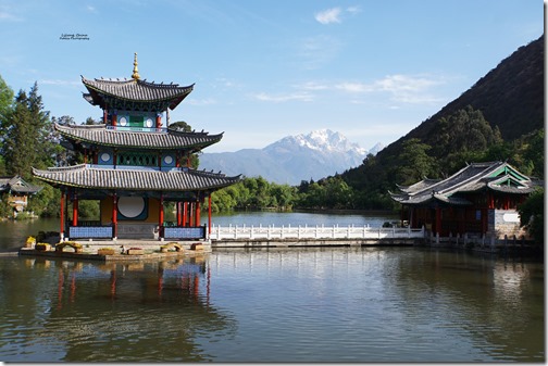 china119