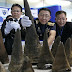 Rhino horns worth $5m seized in Thailand off flight from Ethiopia