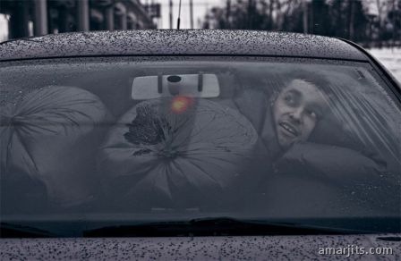 carpics (16)