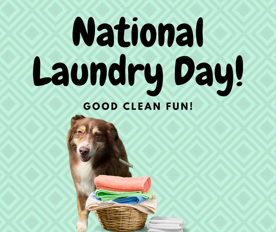 National Laundry Day Wishes For Facebook