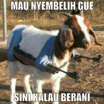 Kumpulan Meme dan Gambar Kocak Hewan Qurban yang Mengundang Tawa Terbaru  Kumpulan Meme dan Gambar Kocak Hewan Qurban yang Mengundang Tawa Terbaru 2018 