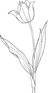 Flowers Coloring Pages