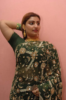 Babi Lona Tamil Actress in saree photo album