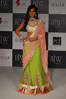 Bollywood, Hot, Actress, at, IIJW, Photos