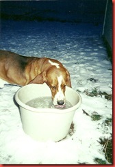 scan0010