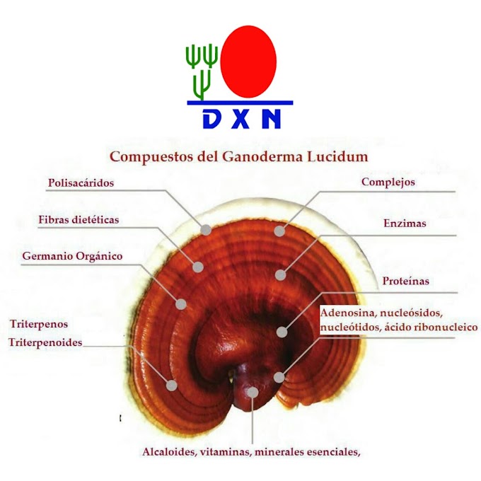 COMPONENTES DEL HONGO GANODERMA LUCIDUM 